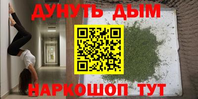 тгк Камышлов