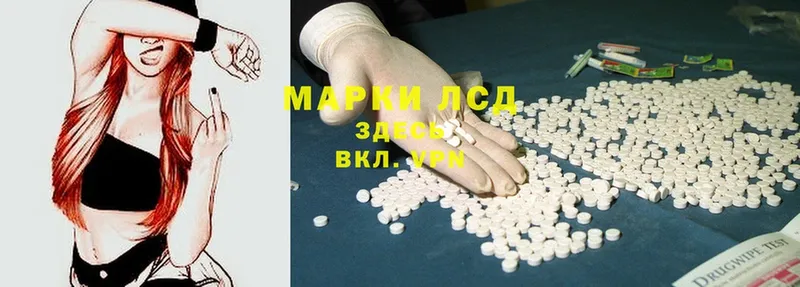 KRAKEN ссылка  Курчатов  LSD-25 экстази кислота  сколько стоит 