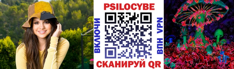 Псилоцибиновые грибы прущие грибы  Курчатов 
