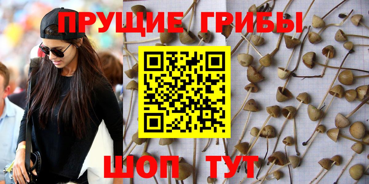 Галлюциногенные грибы мухоморы Курчатов