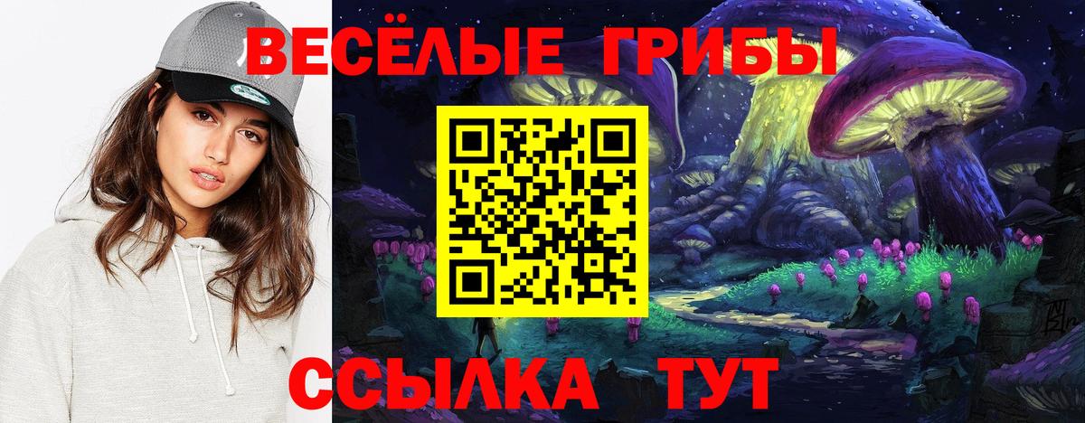 Псилоцибиновые грибы GOLDEN TEACHER Курчатов
