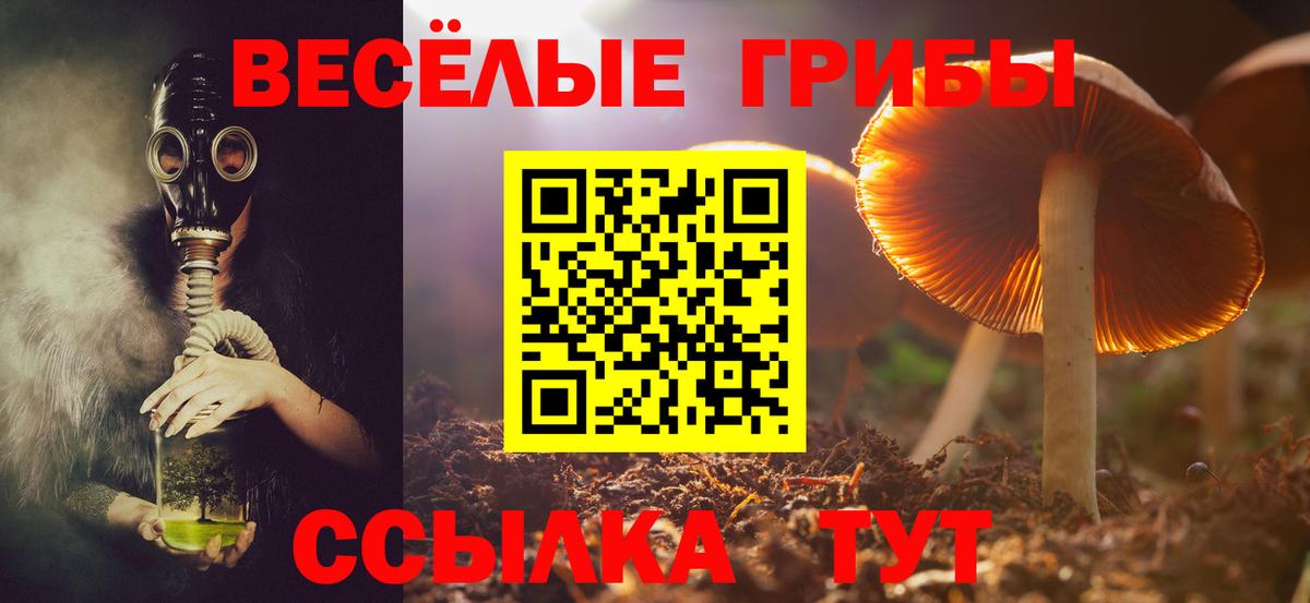 Псилоцибиновые грибы Magic Shrooms  Курчатов 