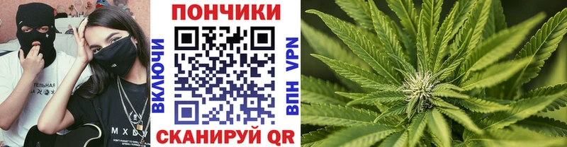 купить   Курчатов  Шишки марихуана Amnesia 