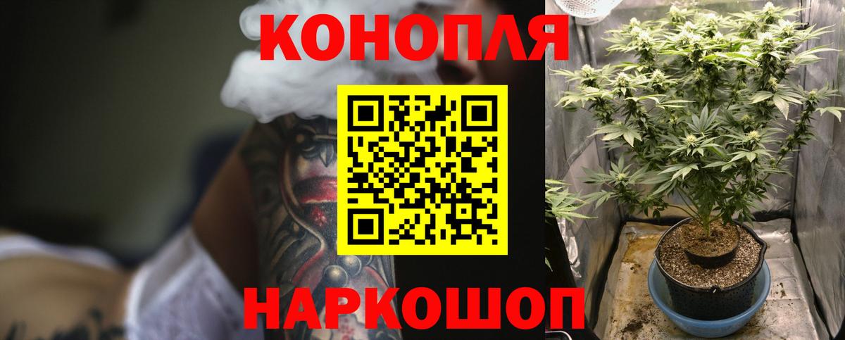 Канабис THC 21%  Вход с VPN  Курчатов  МАРИХУАНА сатива  Бошки марихуана Bruce Banner  Канабис OG Kush 